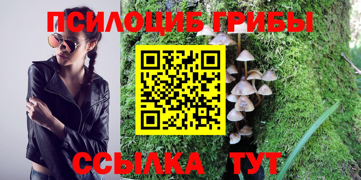 Галлюциногенные грибы Cubensis Гусев