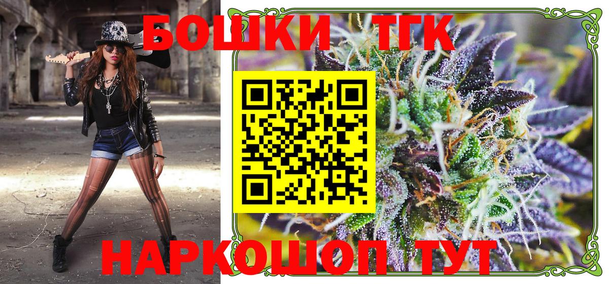 Каннабис планчик Гусев